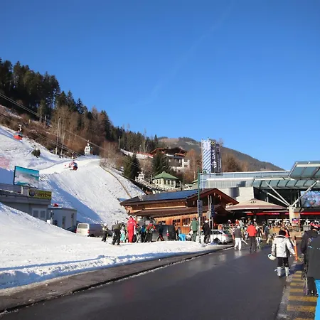 Plank-1 By Interhome